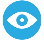 vision